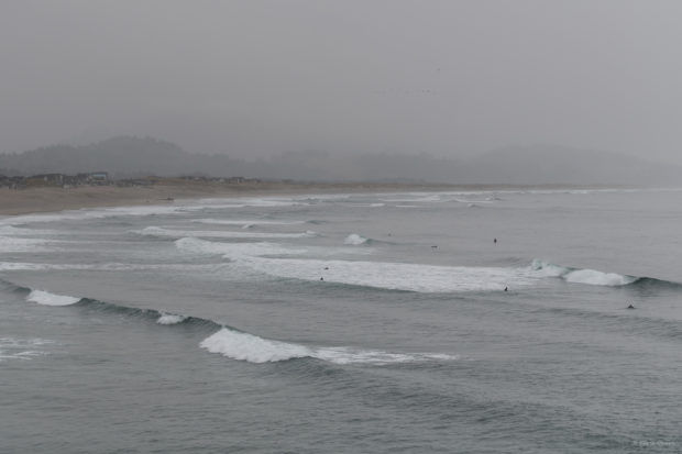 20180321 4751 620x413 - Climbing Cape Kiwanda