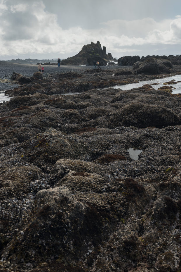 20180322 4893 620x930 - The Yaquina Head Lighthouse