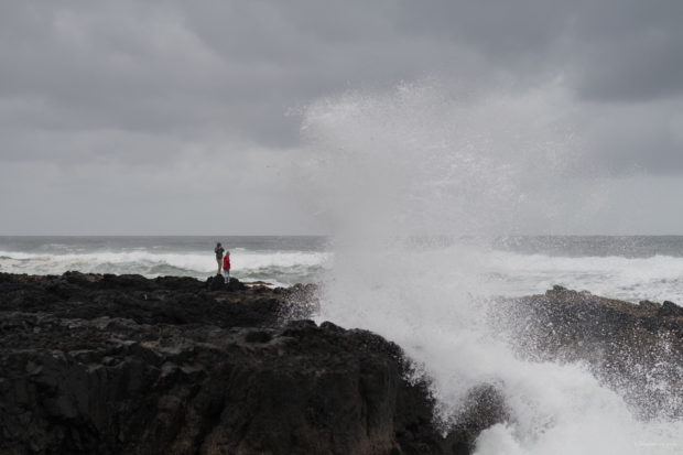 20180323 5020 620x413 - Blown Away at Cape Perpetua