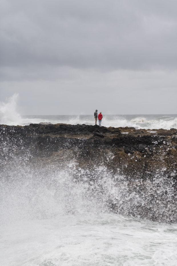 20180323 5021 620x930 - Blown Away at Cape Perpetua