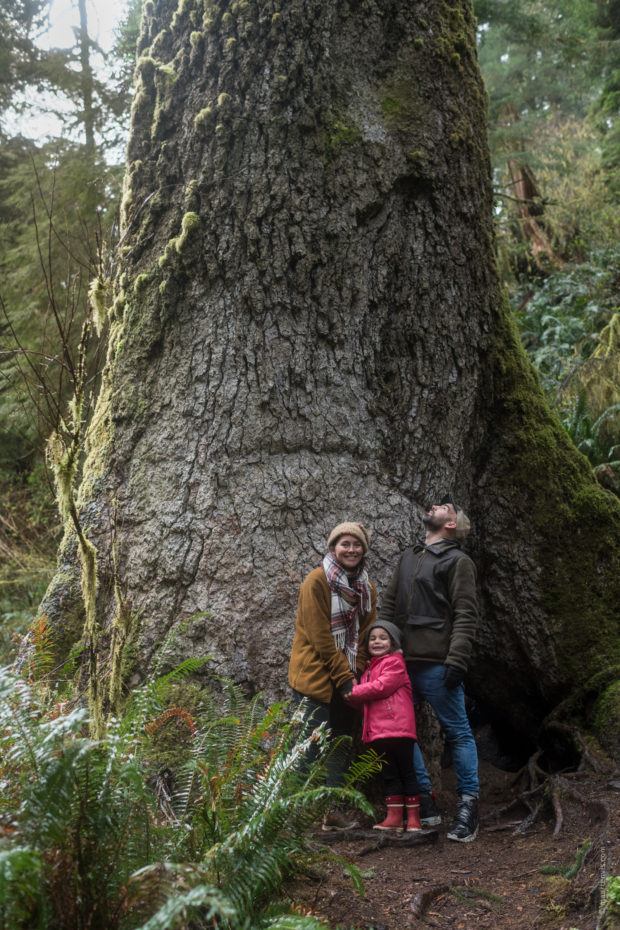 20180323 5078 620x930 - Hiking to the Giant Spruce