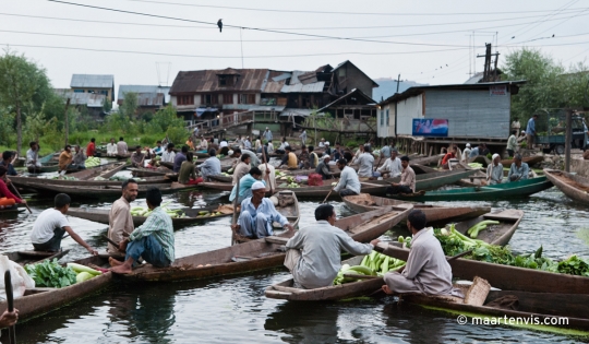 DSC 0014 540x315 - Dal Lake Market