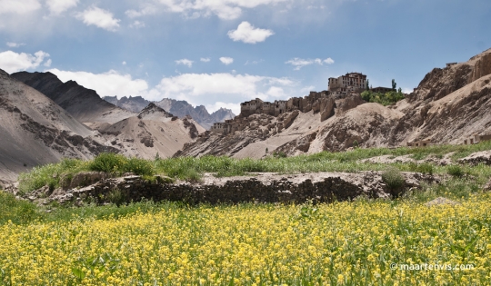 DSC 0059b 540x315 - Picture perfect in Jammu and Kashmir