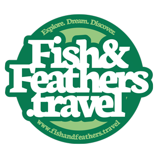 Fish and Feathers Travel Blog